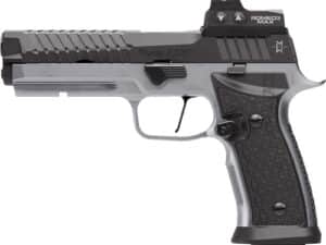 SIG P320 SXG MAX 9MM 5" - ROMEO3MAX (4)21RD 2-TONE