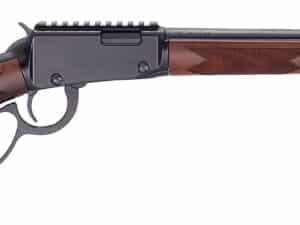 HEN SPORTER RIFLE LVR 22WMR