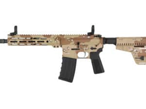 HI-PT HP-15 300BLK 10.5 30RD CHP BRC