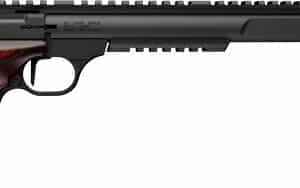 BROWNING BUCKMARK HUNTER - VARMINT 22LR 10.5" SR LAMINATE