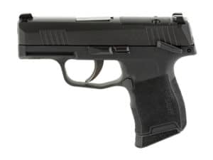SIG P365 MS .380 ACP handgun with XRAY3 sights and two magazine options