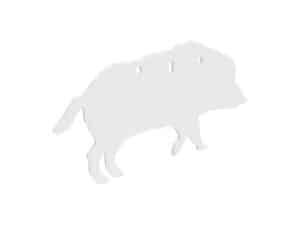 Birchwood Casey AR500 3/8" Silhouette Plate Target 3-Hole Boar