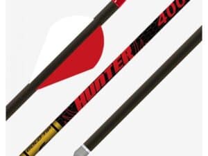Gold Tip Hunter 500 2in Raptor Vanes - 1/2dz