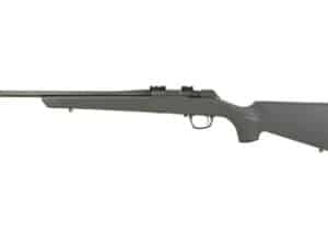 CVA CASCADE 22LR 18" TB 10RD GRAY