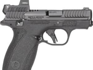 S&W BODYGUARD 2.0 RFX1 SIGHT - 380ACP 10/12 RD MAG BLK SAFETY