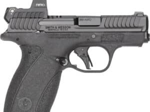 S&W BODYGUARD 2.0 RFX1 SIGHT - 380ACP 10/12 RD MAG NO SAFETY