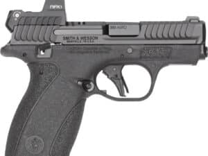 S&W BODYGUARD 2.0 RFX1 SIGHT - 380ACP 10 RD MAG BLK SAFETY