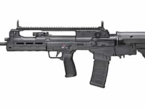SPRGFLD HELLION 556 18" 30RD BLK