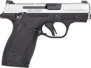 S&W BG2.0 380 12R 2TN TS NS DE