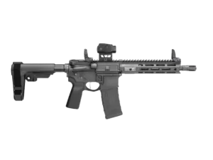 SPG SNT VIC2 PST 300B GP 9 30R