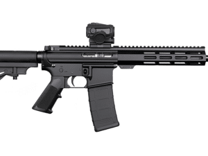 DPM SHORTCL KIT 300BLK 30 10.5