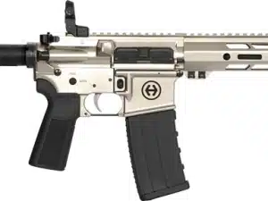 HIPOINT PISTOL HP-15 300 AAC - 10.5" 30RD BLADE BRACE SILVER