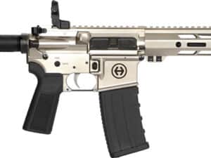 HIPOINT PISTOL HP-15 5.56 - 10.5" 30RD BLADE BRACE SILVER