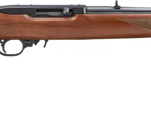 RUG 10/22 22LR 18 CHK WLNT