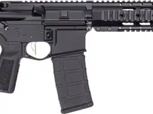 DPM AR15 PST 5.56 30R 10.5B SB